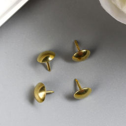 Цена за 2 шт. Набор декоративных гвоздиков "Глянец" набор 100 шт золото 0,9х0,9 см