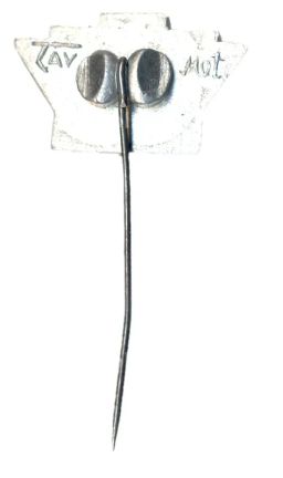 Значок Тарту