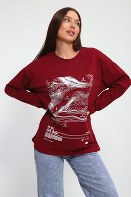 Лонгслив унисекс с принтом Карта ЛГ-01