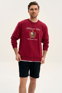 Джемпер GO M4107E/12-01.176-182 вишня