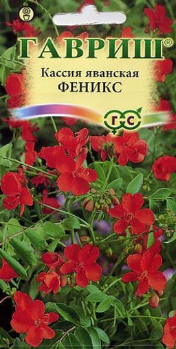 Кассия Феникс, яванская 3шт (г)