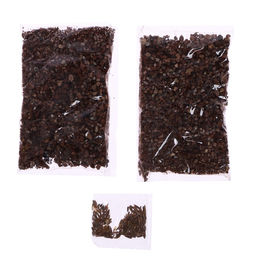 Набор для опытов Выращиваем травку, птичка - Эврики фото 16