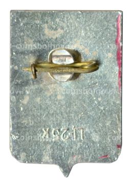 Значок Старая Русса