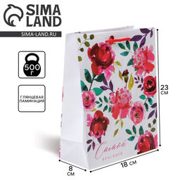 Цена за 2 шт. Пакет подарочный ламинированный, упаковка, Present for you, MS 18×23×8 см