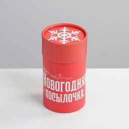 Коробка подарочная «Новогодняя посылочка», 8×14.5 см, Новый год