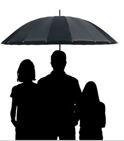 Зонт Umbr-L-605-Rose