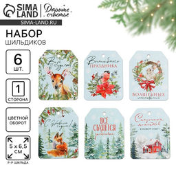 Цена за 10 шт. Шильдик новогодний на подарок «Верь в чудеса», набор 6 штук, 16×24 см