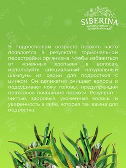 Шампунь с цинком Мягкое очищение и профилактика перхоти для ежедневного применения SIBERINA