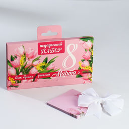 Подарочный набор, в чемоданчике: заколка и блок листов  8 марта