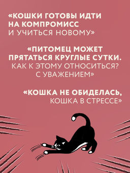 Кошачий закон и порядок. Как найти общий язык с кошкой и не стать жертвой ее капризов