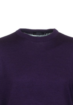 Джемпер мужской CASINO c121-016 слива  фото 2