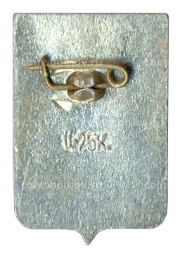 Значок Боровичи