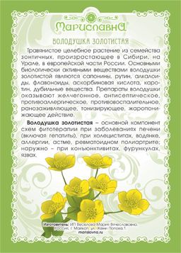 2 шт. Володушка золотистая (трава) - Мариславна фото 2