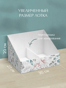 VAL BT-VP-300 Лоток - органайзер для бумаг, 30*23*20 см., набор 2 шт., BOTANIC, шт