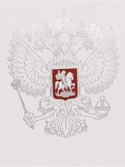 Цена за 2 шт. Пакет подарочный «Россия», 25.5×30×9 см