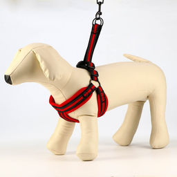 Комплект амуниции светоотражающий с мягкими шлейкой и ручкой, поводок 120 х 2 см, ОШ 25-72 см, красн - Пижон фото 2