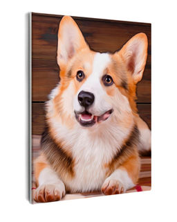 Картина по номерам на холсте и подрамнике 40х50 см