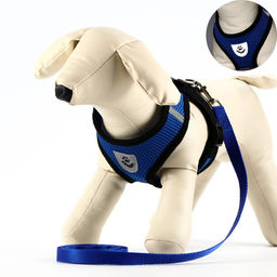 Комплект амуниции с мягкой шлейкой и светоотражающей нашивкой, XL, ОШ 40 см, ОГ 46-60 см, синий 761