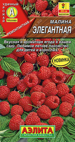 0585A Малина Элегантная 20шт