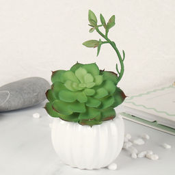 Суккулент искусственный 10х22 см / GN111 /уп 50/100/ - Галеонтрейд фото 3