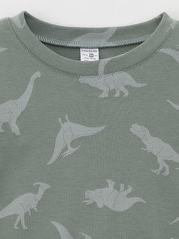 К 1552/полынь,древние динозавры пижама дет