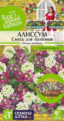 Цветы Алиссум Смесь для балконов/Сем Алт/цп 0,05 гр. Ваш яркий балкон (2029 / 4058)