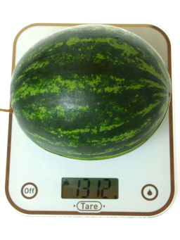 Арбуз Азиль - Партнер фото 4