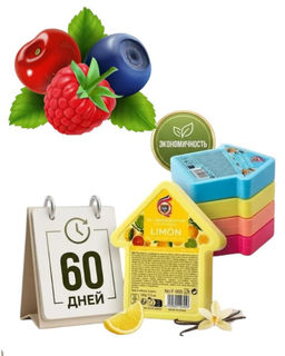Освежитель воздуха "Лесные ягоды", для туалета/дома/офиса/автомобиля, твердый, 100г