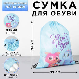 Мешок для обуви «Верь в чудеса» (болоньевый материал) 43×33 см