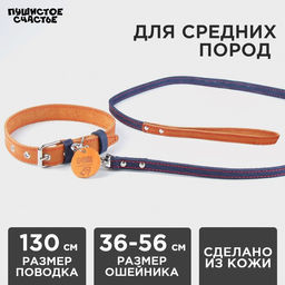 Комплект : ошейник (36-56х2.5 см) и поводок (130х1.5 см), цвет бежевый и синий