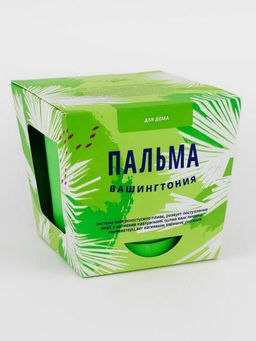 Набор для выращивания "Тысяча листьев", "Пальма Вашингтония"