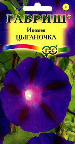 Цыганочка ипомея 0,5г (г)
