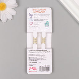 Набор для выращивания, карандаши подарочные «Акация серебристая + гвоздика», mini, простые чернографитные, 2 шт.