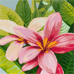 Кристальная (алмазная) мозаика ФРЕЯ №08 СК/Распродажа ALVR-239 Цветы франжипани 40 х 40 см