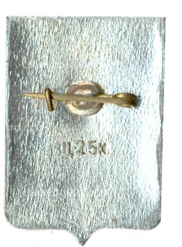 Значок Демянск