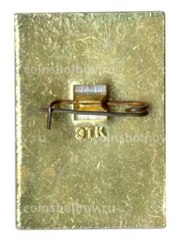 Значок Владимир