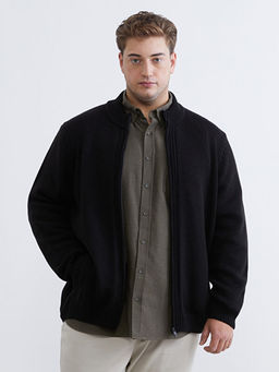 Standart Kal?p Dik Yaka Erkek Triko H?rka