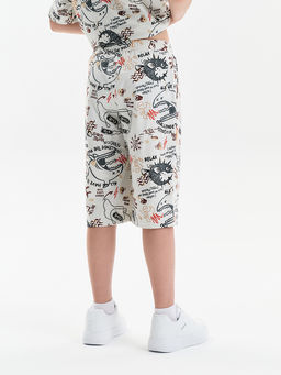 BFH3389U Шорты для мальчика - Pelican фото 3