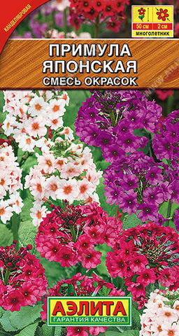 1772A Примула японская, смесь окрасок 20шт