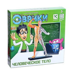 Научный опыт Человеческое тело - Эврики фото 6