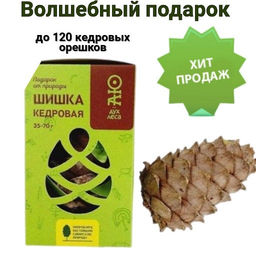 1fc2bf43b44d83a65a50fb0d8a365e097xbass26qj0m6btss8