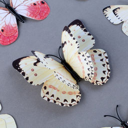 Набор для украшения Бабочки, 12 шт, с чёрными вставками, цвет белый - Страна карнавалия фото 3