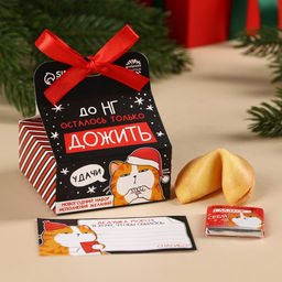 Подарочный набор новогодний «Котэ», печенье с предсказанием, шоколад, послание с пожеланием