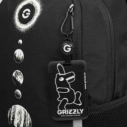RB-651-2 Рюкзак школьный с картхолдером на держателе - Grizzly фото 10