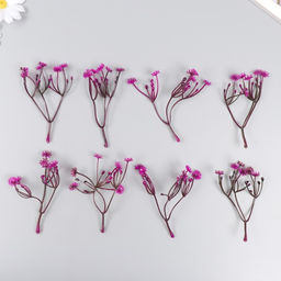 Искусственное растение для творчества «Цикорий», набор 8 шт., фуксия, 10 см