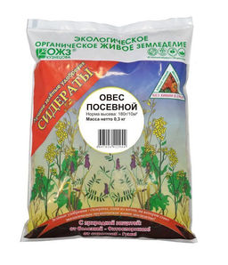 Зеленое удобрение Овес