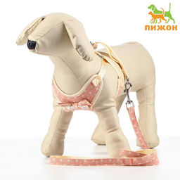 Комплект с мягкой шлейкой Горох, размер М, поводок 120 х 1,5 см, ОГ 34-66 см, розовый