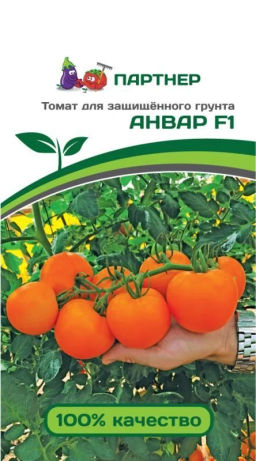 Томат Анвар - Партнер фото 2