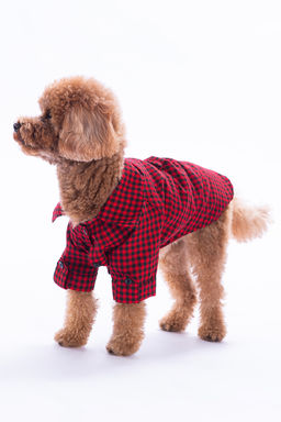 Pet Ekose Desenli Kopek Gomlegi/K?yafeti TPHAW26KF00002 - Trendyolmilla фото 4