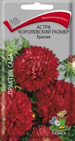 Астра (однолетняя) королевский размер Красная (ЦВ) (1) 0,1гр. - Поиск фото 2
